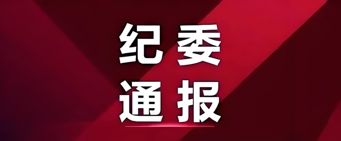 蓝鲸体育官网-他接受纪律审查和监察调查